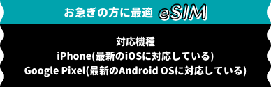 お急ぎの方に最適 eSIM