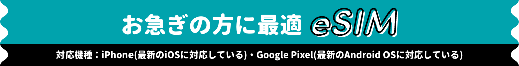 お急ぎの方に最適 eSIM